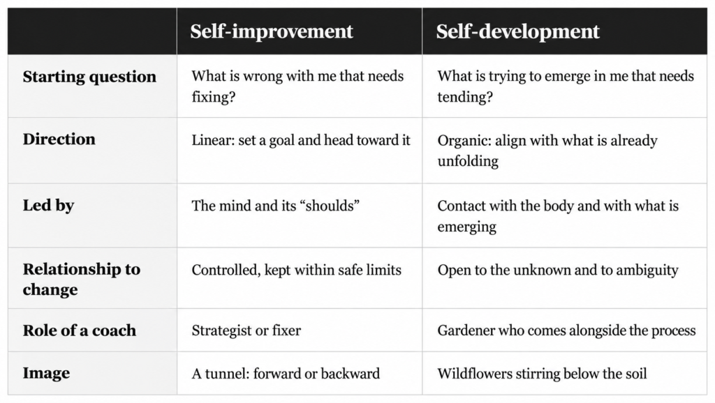 key differences between self-development and self-improvement