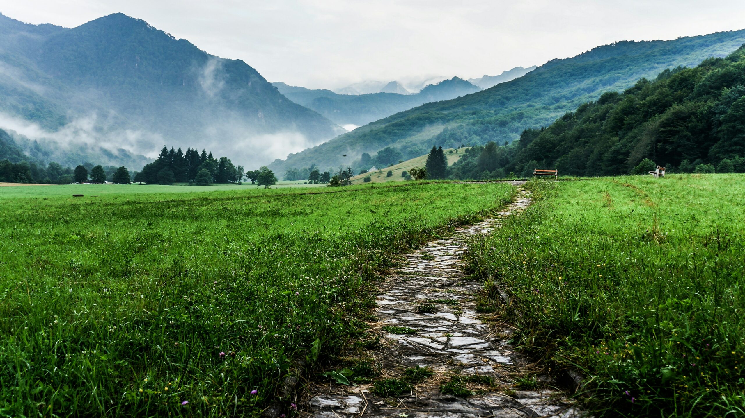 Engaged Pathway