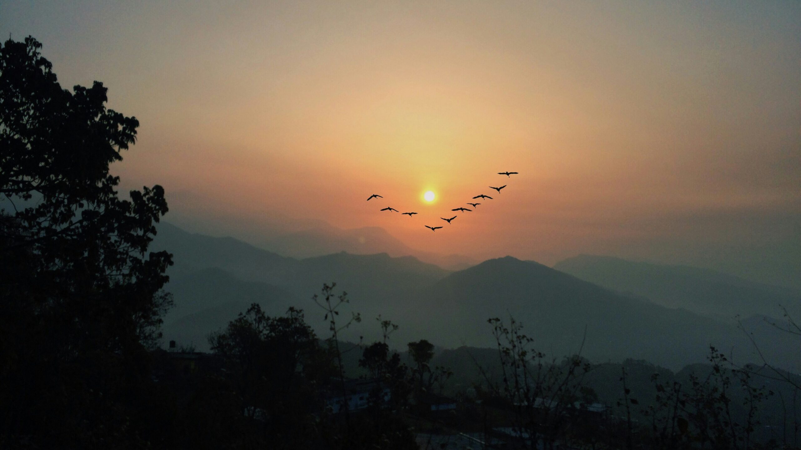 sunset