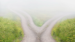A path with a fork in the road leading to two directions