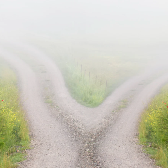 The Mastery Fork in the Leadership Road: Part 1