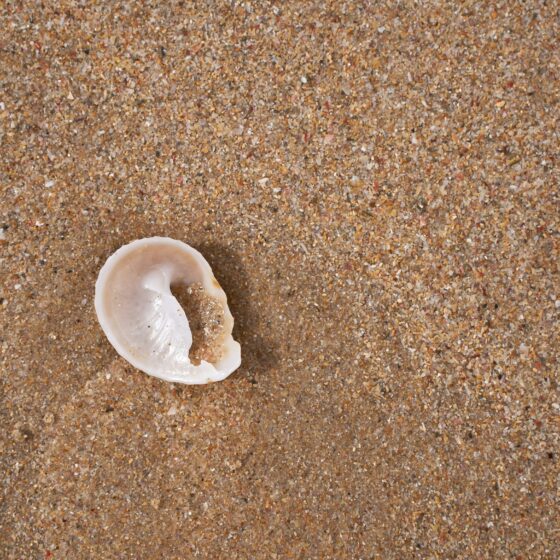 Beyond the Dilemma: Being, Doing, and Becoming