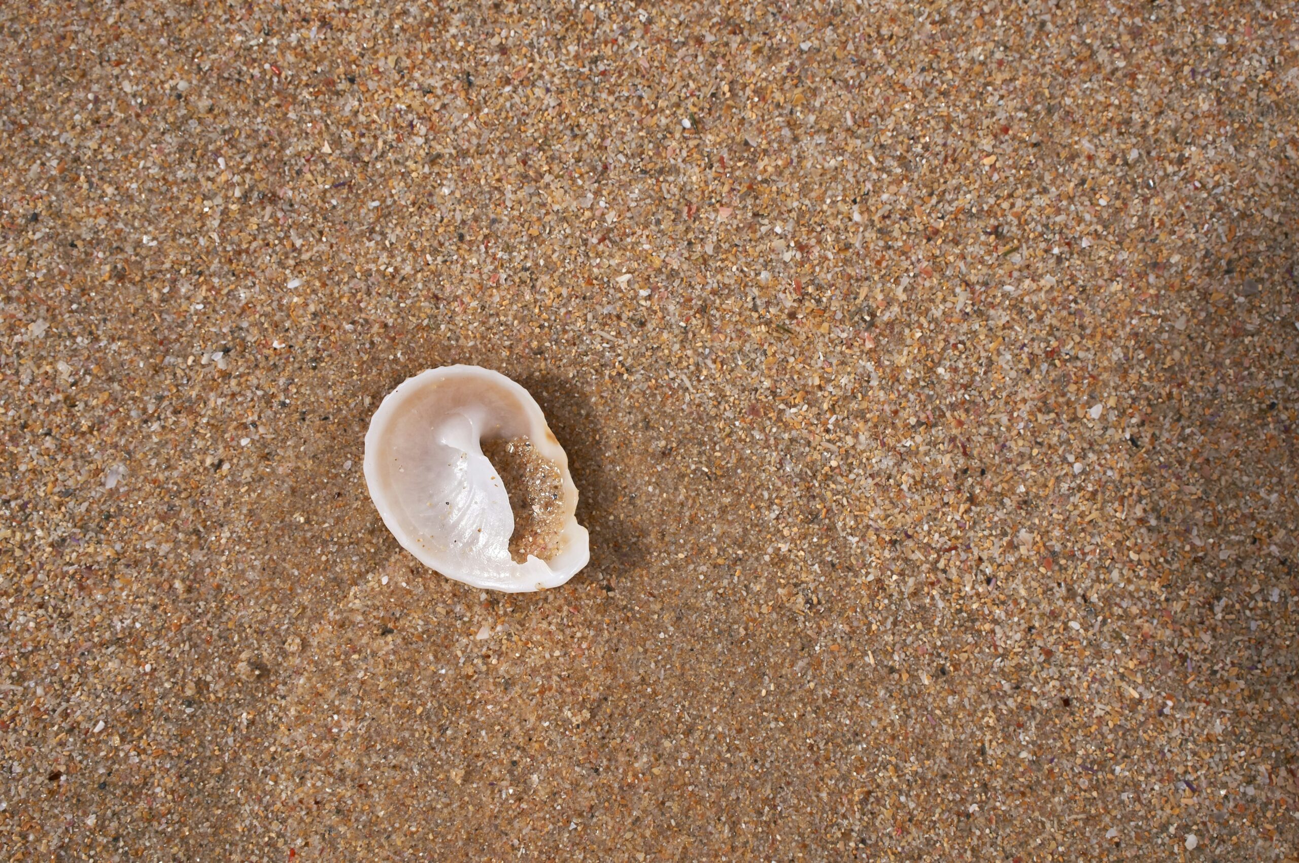 Beyond the Dilemma: Being, Doing, and Becoming