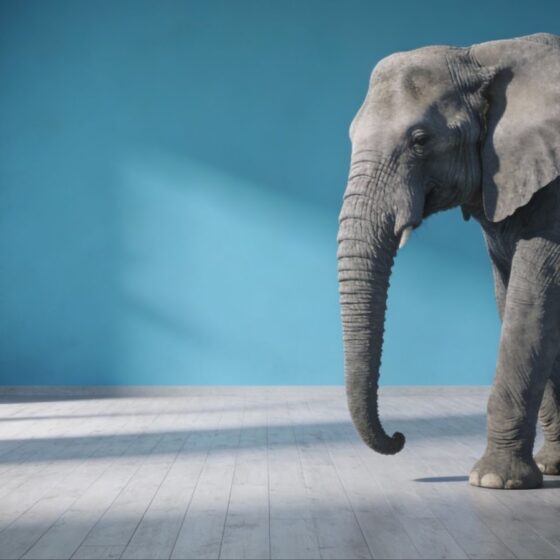 Addressing the Elephant in the Room